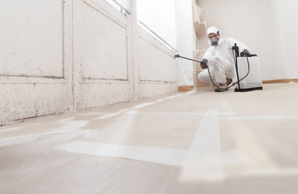 24/7 Emergency Mold Remediation experts in Richfield, PA