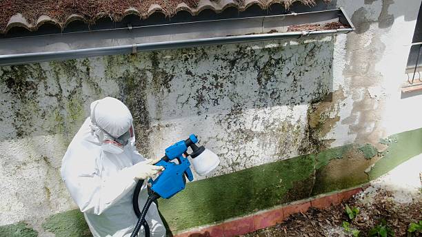 Top rated local Mold Remediation specialists in Richfield, PA